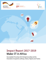 GIZ (2019): Impact Report 2017-2019 Make-IT in Africa